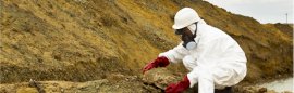Polluted Sites and Soils