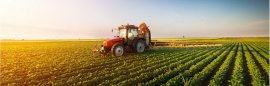 Food & Agriculture
