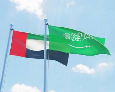 What does the UAE - Saudi “Strategy of Resolve” mean for the future of clean tech?