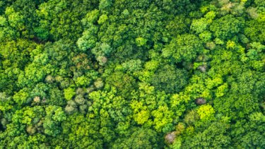 What needs to happen at COP28 with water security?